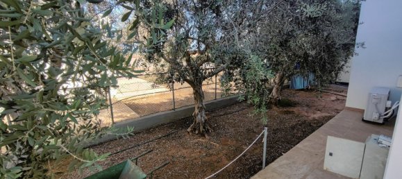 4 bedrooms Villa in Paralimni, Cyprus No. 23073 13