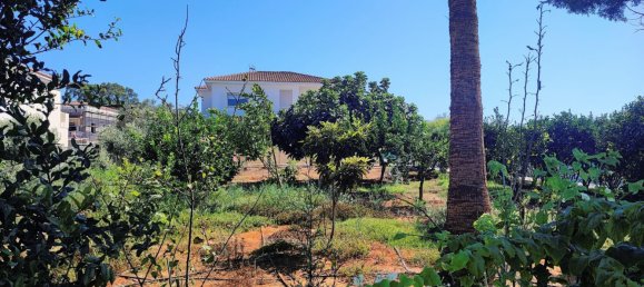 4 bedrooms Villa in Paralimni, Cyprus No. 23073 4