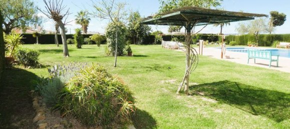 2 bedrooms Villa in Torrevieja, Spain No. 178144 39