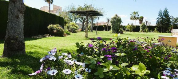 2 bedrooms Villa in Torrevieja, Spain No. 178144 38