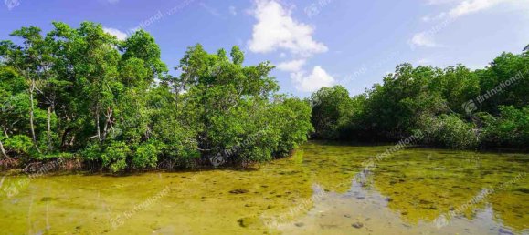 5 Schlafzimmer Haus in Port-Vila, Vanuatu, Nr. 81 7