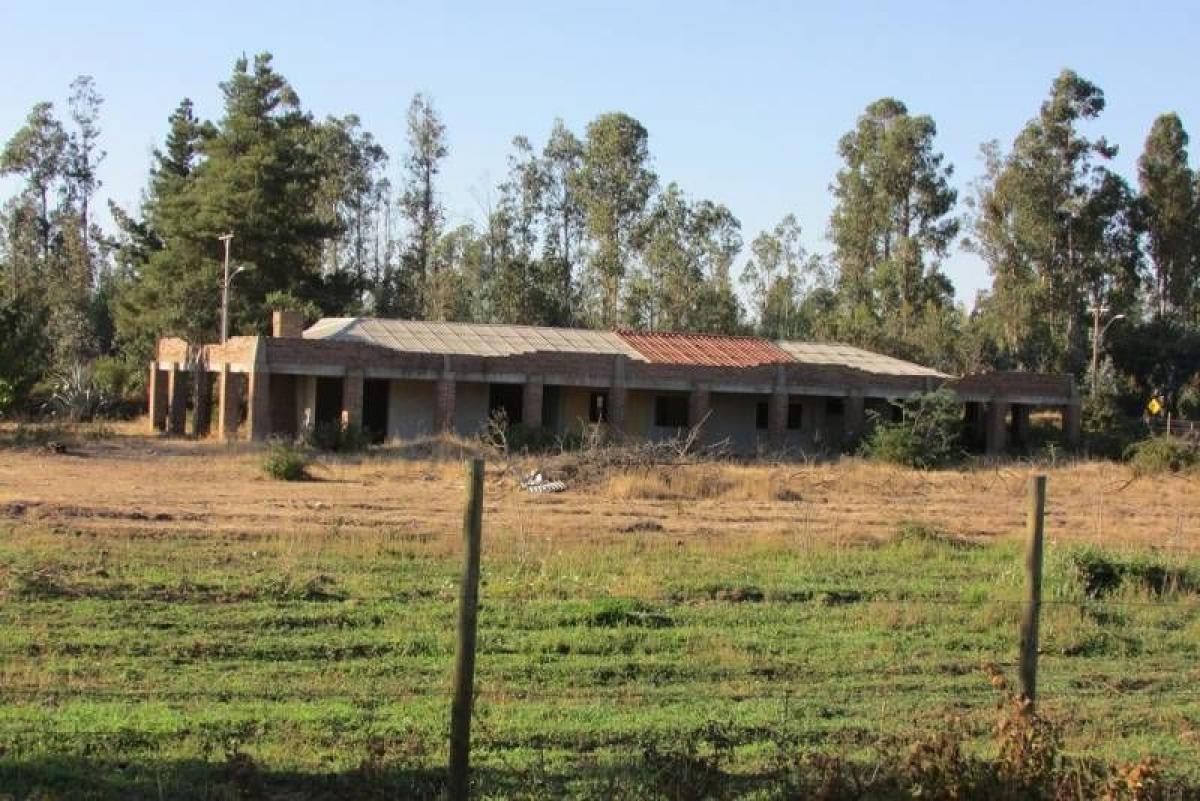 Terrain à Maule, Chile No. 1230