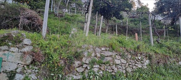 Дом с 3 спальнями в Аркуш ди Валдевеш, Португалия № 19297 10