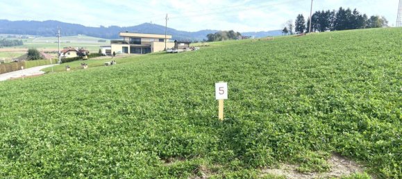 Terrain à Eberschwang, Austria No. 95684 2