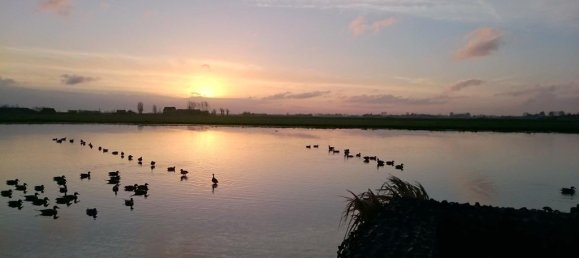 Terreno em Warhem, France 15000 m² N.º 79314 2