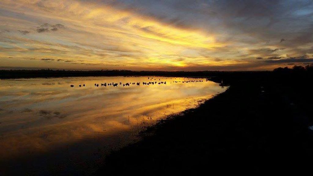 Terreno em Warhem, France 15000 m² N.º 79314