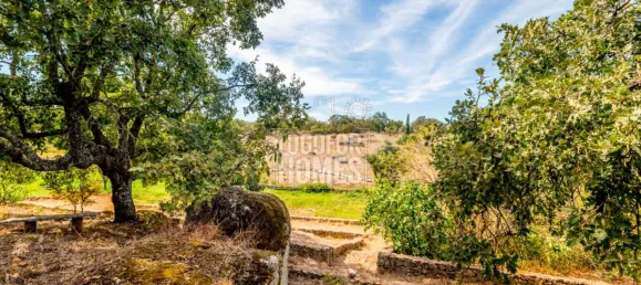 6 bedrooms House in Castelo de Vide, Portugal No. 111727 10