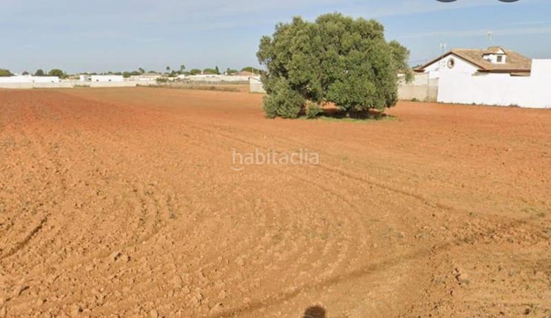 6600m² Land in Cadiz, Spain No. 204424