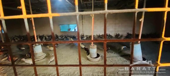 20-Zimmer Grundstück in Castelbelforte, Italy, Nr. 166031 19