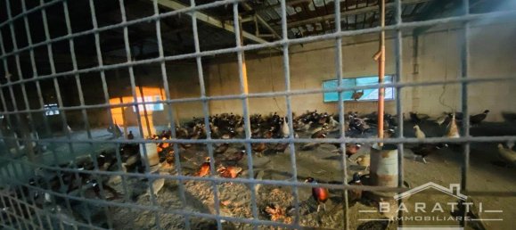 20-Zimmer Grundstück in Castelbelforte, Italy, Nr. 166031 20