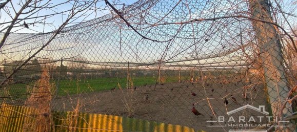 20-Zimmer Grundstück in Castelbelforte, Italy, Nr. 166031 8