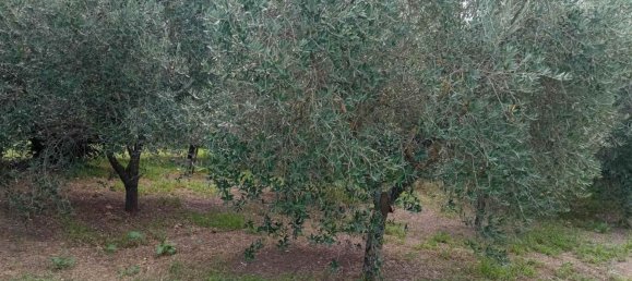 Terreno em Vetralla, Italy N.º 344351 3