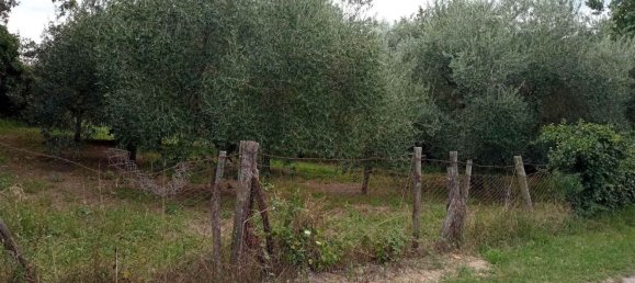 Terreno em Vetralla, Italy N.º 344351 5