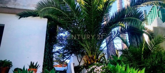 5 bedrooms Villa in Setubal, Portugal No. 131172 36