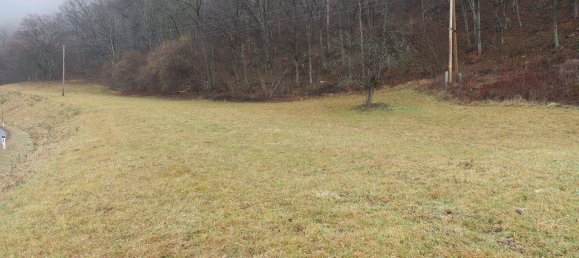 Terreno en Deutschfeistritz, Austria No. 93480 3