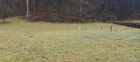 Terreno en Deutschfeistritz, Austria No. 93480 2