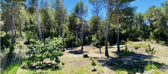 3 chambres Villa à Valencia, Spain No. 185848 13