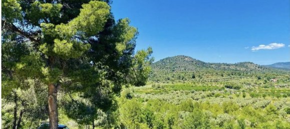 3 chambres Villa à Valencia, Spain No. 185848 38