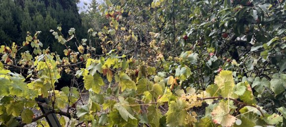 2 Schlafzimmer Haus in Scy-Chazelles, France, Nr. 157105 9