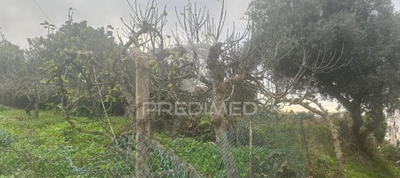 Земельный участок 4000м² в Сейшал, Португалия № 77289 9