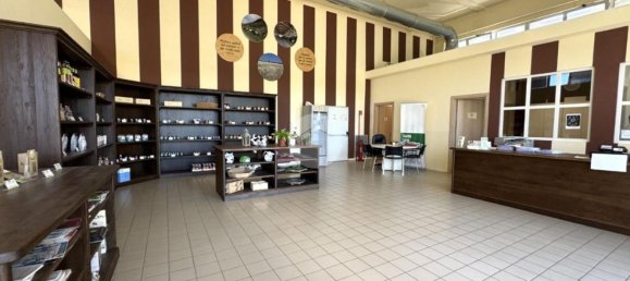 1500m² Warehouse in Agliè, Italy No. 264905 12