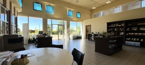 1500m² Warehouse in Agliè, Italy No. 264905 14