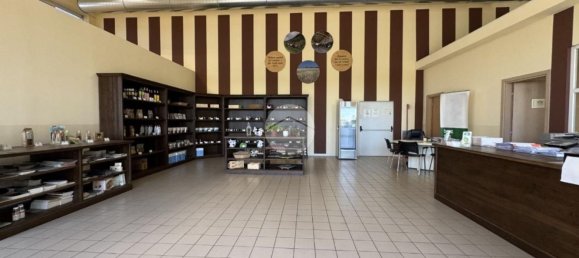 1500m² Warehouse in Agliè, Italy No. 264905 11