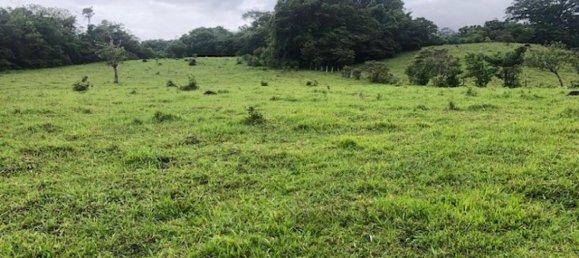  Land in Canas, Costa Rica No. 1607 4