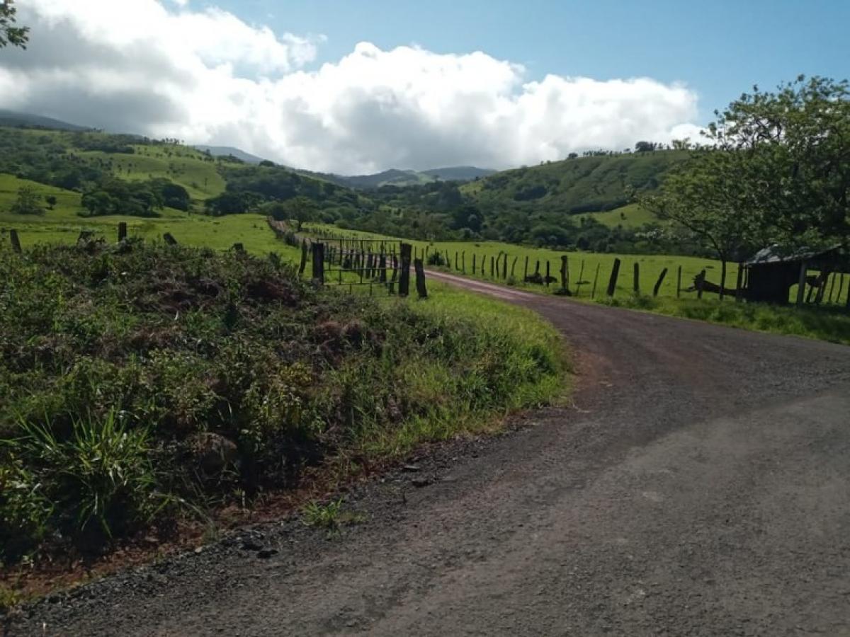  Land in Canas, Costa Rica No. 1607