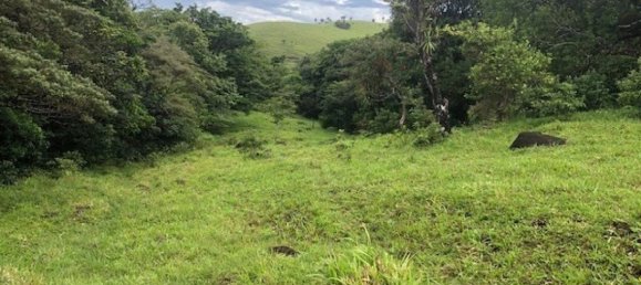  Land in Canas, Costa Rica No. 1607 5
