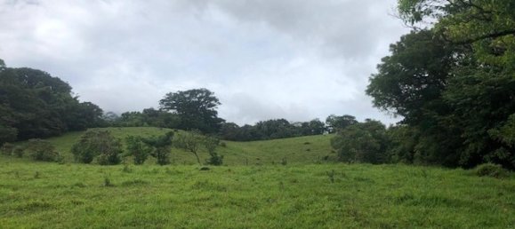  Land in Canas, Costa Rica No. 1607 3