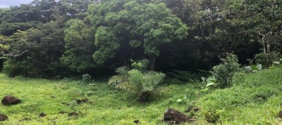  Land in Canas, Costa Rica No. 1607 6