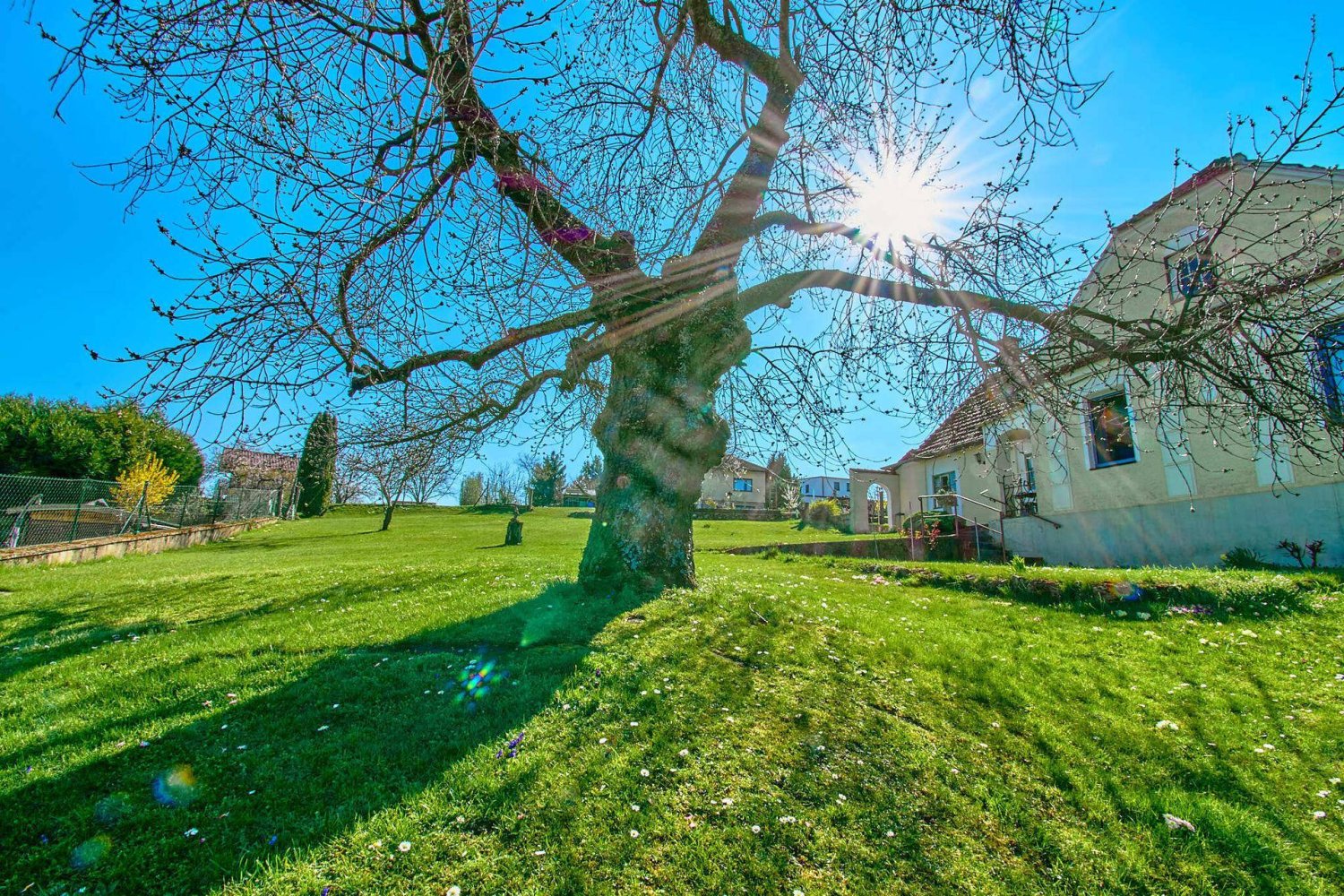 3-Zimmer Haus in Ernstbrunn, Austria, Nr. 254239