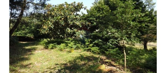 Grundstück in Beco, Portugal 6520m², Nr. 71634 10