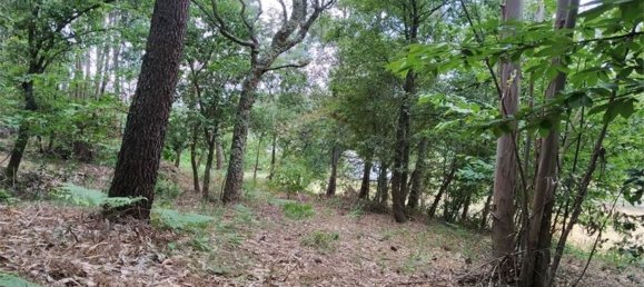 Grundstück in Beco, Portugal 6520m², Nr. 71634 7