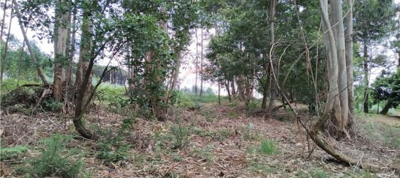 Grundstück in Beco, Portugal 6520m², Nr. 71634 9