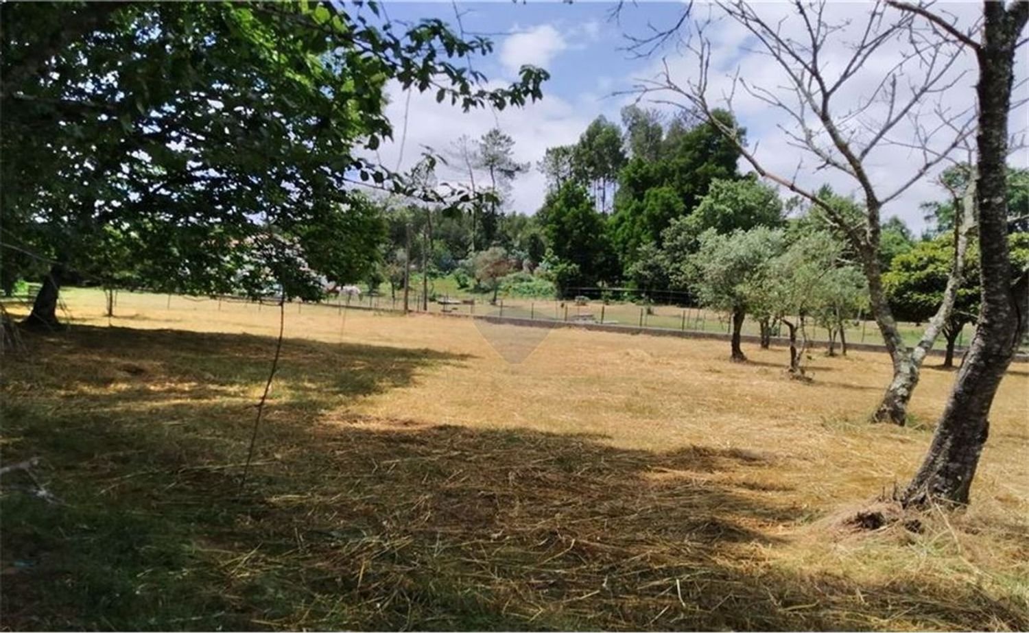 Grundstück in Beco, Portugal 6520m², Nr. 71634