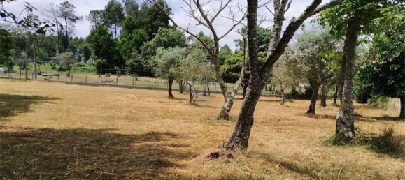 Grundstück in Beco, Portugal 6520m², Nr. 71634 3