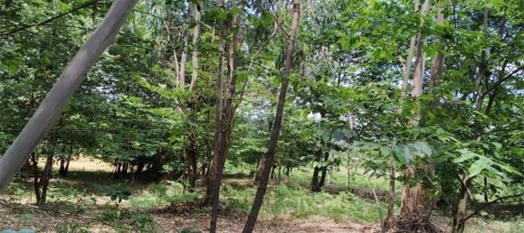 Grundstück in Beco, Portugal 6520m², Nr. 71634 5