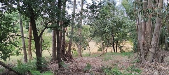 Grundstück in Beco, Portugal 6520m², Nr. 71634 18