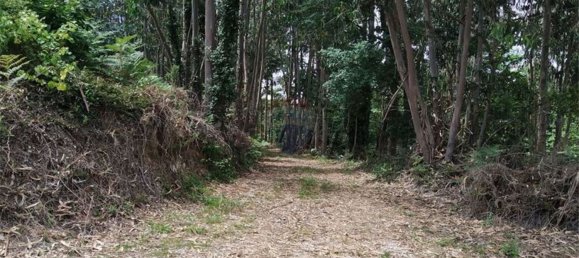 Grundstück in Beco, Portugal 6520m², Nr. 71634 16