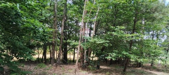 Grundstück in Beco, Portugal 6520m², Nr. 71634 6