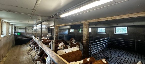 Ферма с 7 комнатами в Бавария, Германия № 182635 19