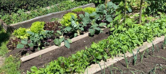 Ферма с 7 комнатами в Бавария, Германия № 182635 35