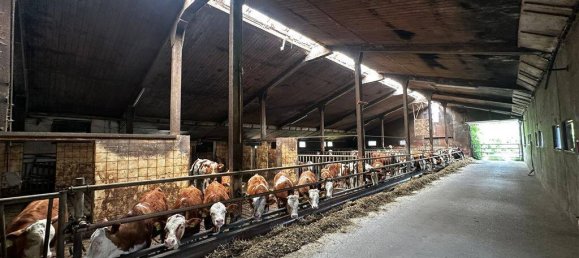 Ферма с 7 комнатами в Бавария, Германия № 182635 18