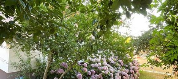 8 rooms Villa in Austis, Italy No. 257251 2