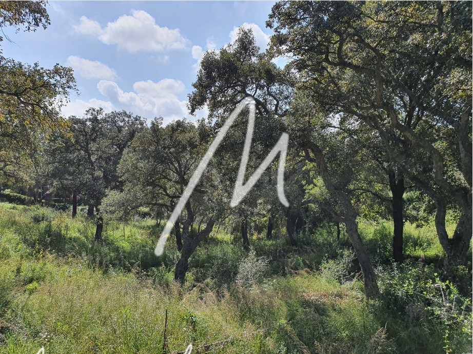 Земельный участок 2100м² в Кадис, Испания № 72360