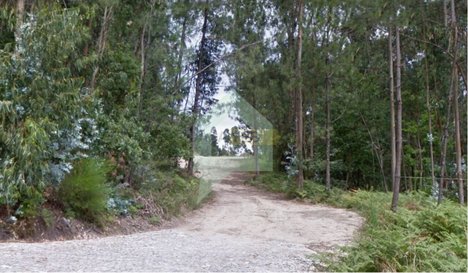 4679m² Land in Figueiredo, Portugal No. 27646
