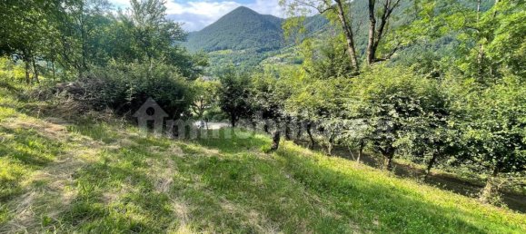 2700m² Land in Albino, Italy No. 85819 7