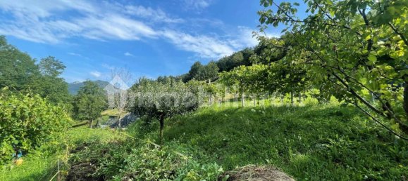 2700m² Land in Albino, Italy No. 85819 5